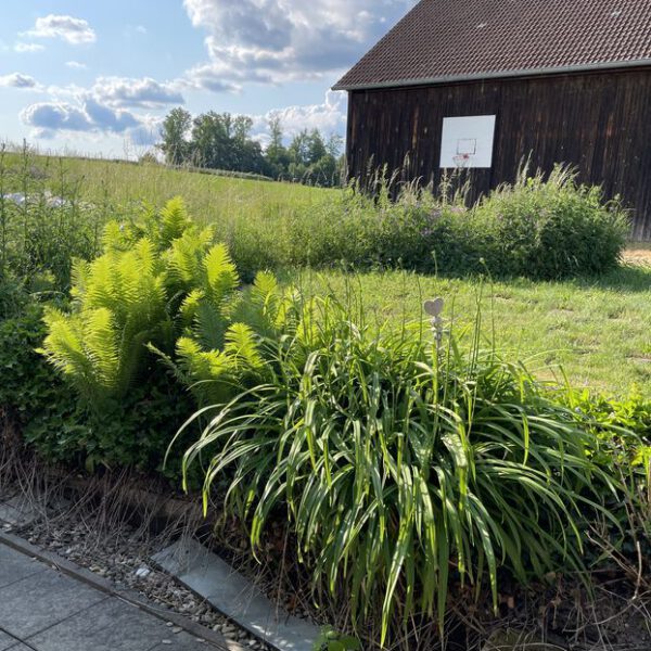 Passberger Immobilien Geisenfeld