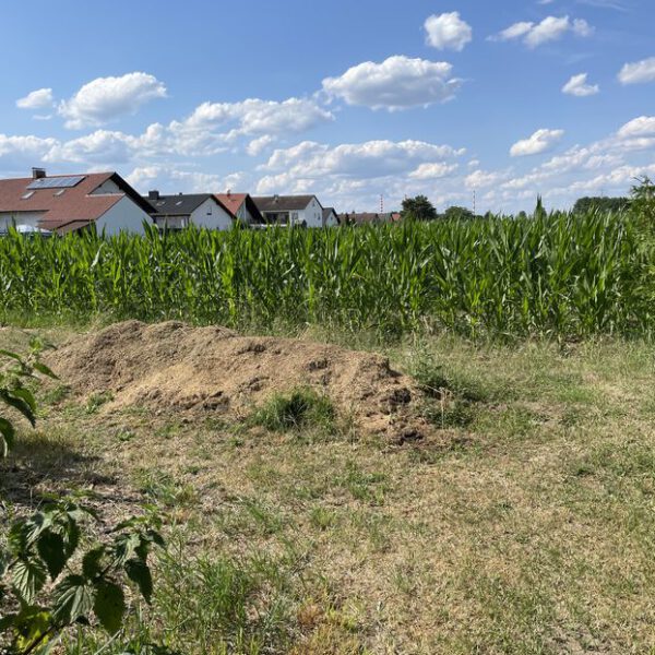 Passberger Immobilien Geisenfeld