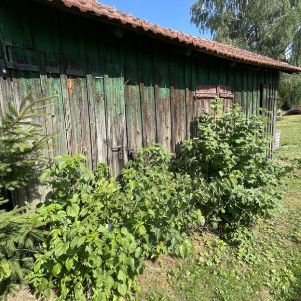 Passberger Immobilien Geisenfeld