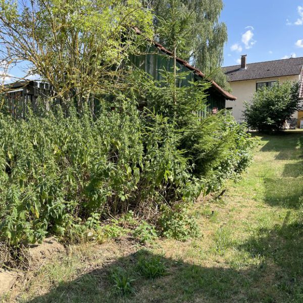 Passberger Immobilien Geisenfeld