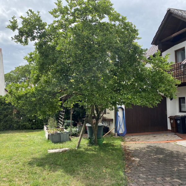 Passberger Immobilien Geisenfeld