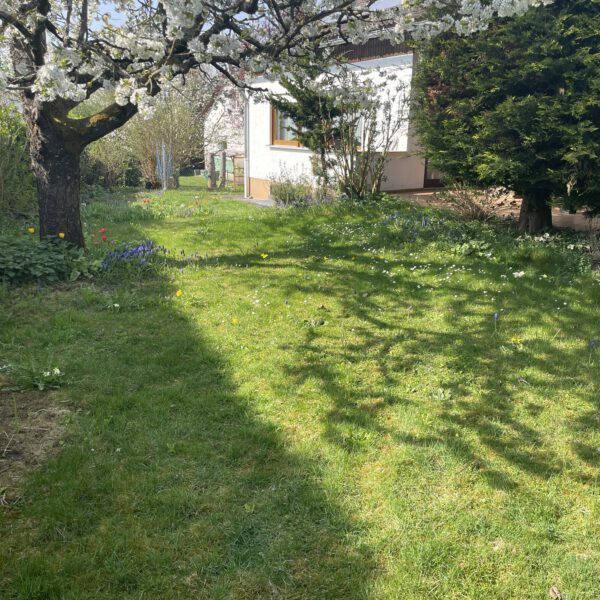 Passberger Immobilien Geisenfeld