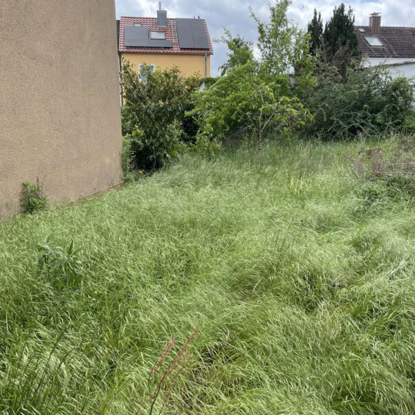 passberger-immobilien-ingolstadt-geisenfeld-35-22_5