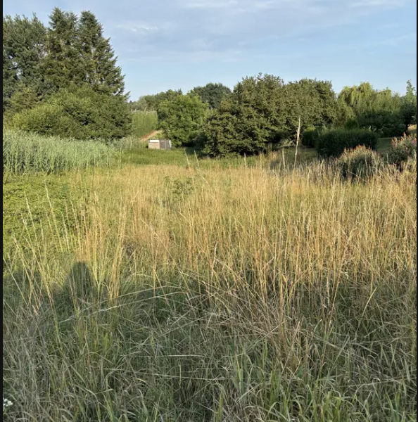 passberger-immobilien-ingolstadt-geisenfeld-26-102
